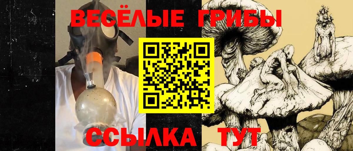 Галлюциногенные грибы MAGIC MUSHROOMS  Псилоцибиновые грибы Psilocybine cubensis  Благодарный  Вход с VPN 